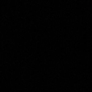 Meet your Posher, Lainey